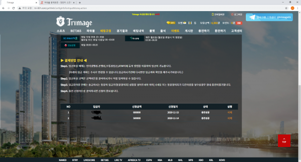 먹튀사이트 (트리마제 TRIMAGE 사이트)