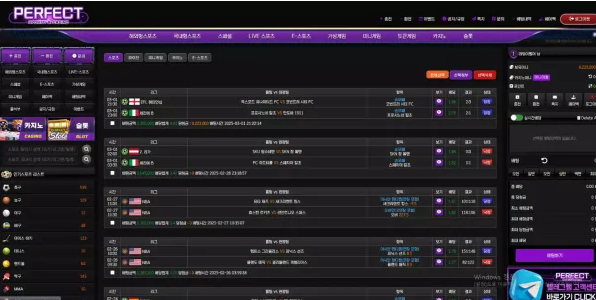 먹튀사이트 (퍼펙트 PERFECT 사이트)