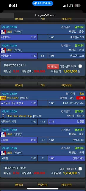 먹튀사이트 (곰탕 사이트)