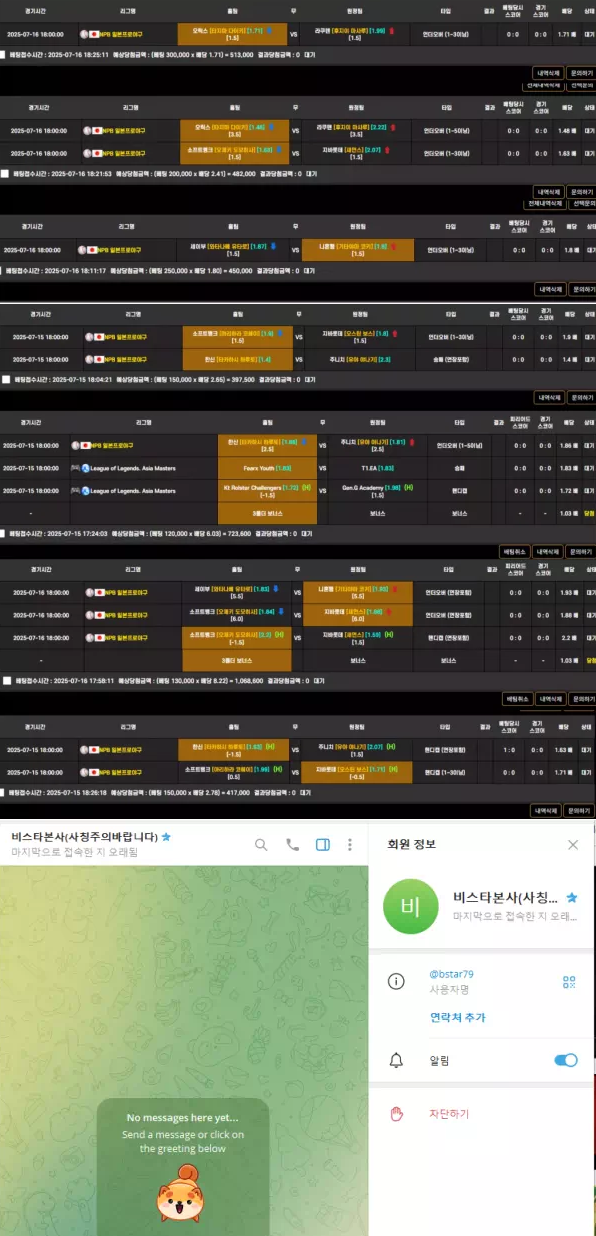 먹튀사이트 (비스타 BSTAR 사이트)