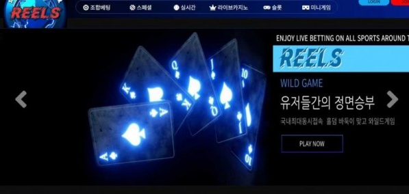 토토사이트 (릴스 REELS 사이트)