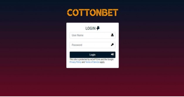 토토사이트 (코튼벳 COTTONBET 사이트)