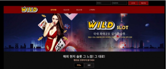 토토사이트 (와일드 WILD 사이트)