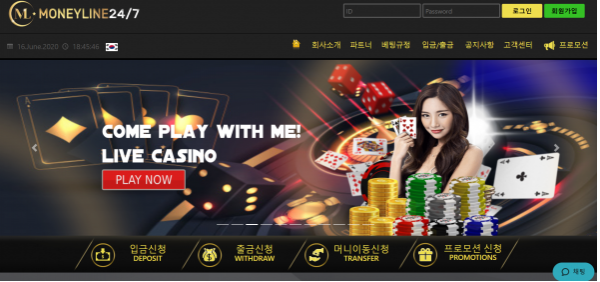 토토사이트 (머니라인 MONEYLINE 사이트)