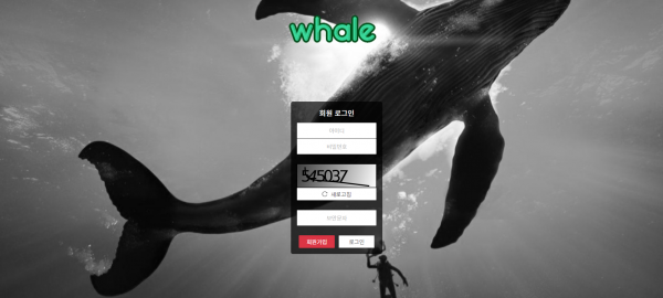 파워볼사이트 (고래 WHALE 사이트)