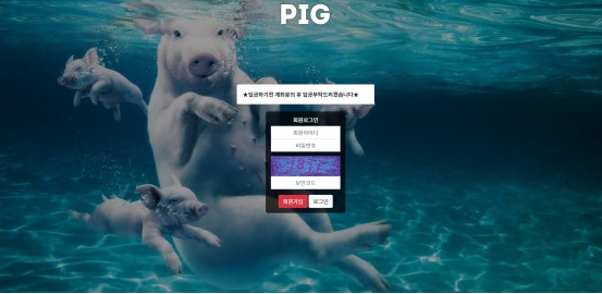 파워볼사이트 (피그 PIG 사이트)