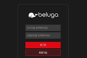 토토사이트 (벨루가 BELUGA 사이트)