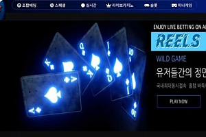 토토사이트 (릴스 REELS 사이트)
