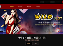 토토사이트 (와일드 WILD 사이트)