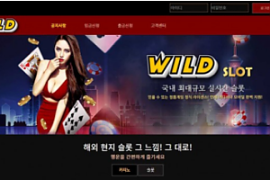 토토사이트 (와일드 WILD 사이트)