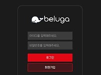 토토사이트 (벨루가 BELUGA 사이트)