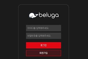 토토사이트 (벨루가 BELUGA 사이트)