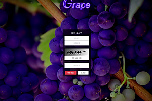 파워볼사이트 (그레이프 GRAPE 사이트)