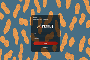 토토사이트 (피넛 PEANUT 사이트)