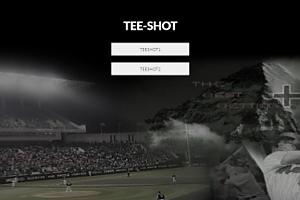 토토사이트 (티샷 TEE-SHOT 사이트)