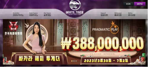 먹튀사이트 (백호 WHITE TIGER 사이트)