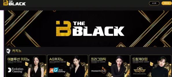 먹튀사이트 (더블랙 THEBLACK 사이트)