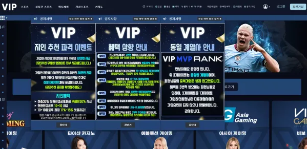 먹튀사이트 (브이아이피 VIP 사이트)