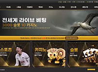 먹튀사이트 (백호 사이트)