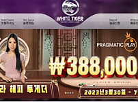 먹튀사이트 (백호 WHITE TIGER 사이트)