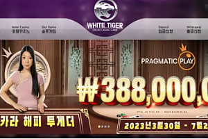 먹튀사이트 (백호 WHITE TIGER 사이트)