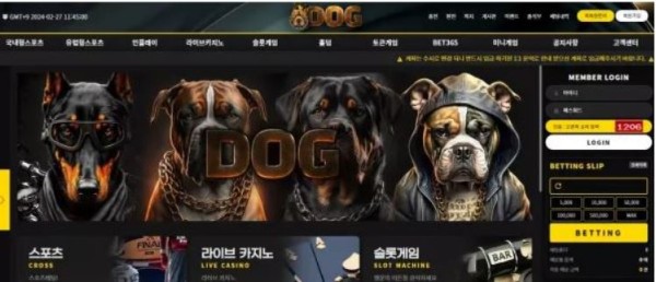 먹튀사이트 (도그 DOG 사이트)