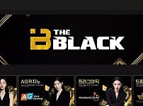 먹튀사이트 (더블랙 THEBLACK 사이트)