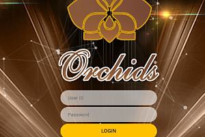 먹튀사이트 (오키드 ORCHIDE 사이트)