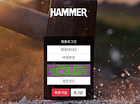 먹튀사이트 (해머 HAMMER 구)스톰 사이트)