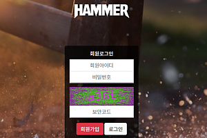 먹튀사이트 (해머 HAMMER 구)스톰 사이트)