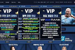 먹튀사이트 (브이아이피 VIP 사이트)